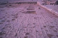 Gerico del Nuovo Testamento: resti del palazzo di Erode il Grande