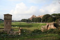 Il Circo Massimo e la torre dei Frangipane