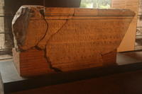 Iscrizione del Colosseo. Tito mi fece erigere coi proventi del bottino (del Tempio di Gerusalemme)