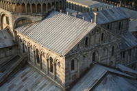 Il grifo di fattura islamica in cima al Duomo (originale oggi nel Museo dell'Opera del Duomo)