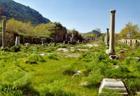 Efeso: la via Arcadiana