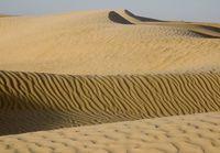 Tunisia - grandi dune - Douze - febbraio 2007