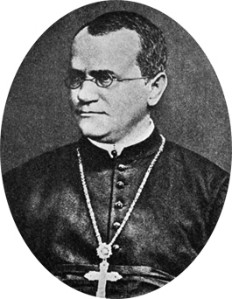 Gregor Mendel Gregor Mendel