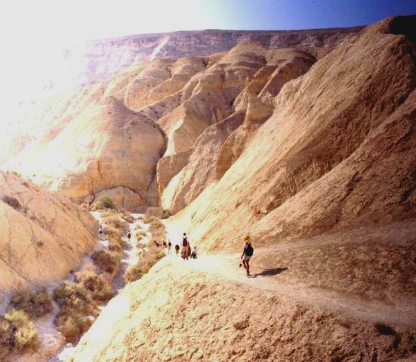 Passeggiata ad Ein Avdat, mentre il sole comincia a salire