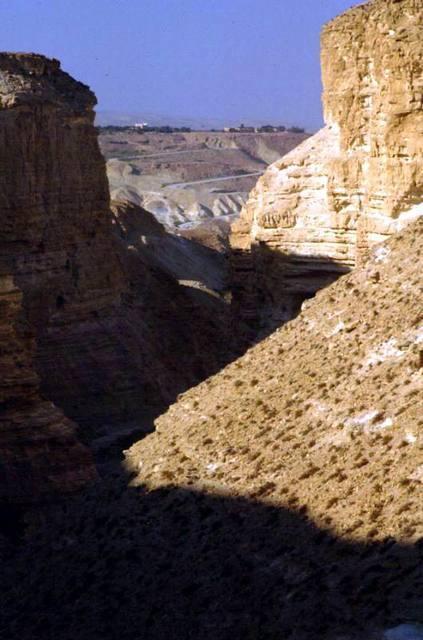 Ein Avdat vista dall'alto. Sullo sfondo si intravede il kibbutz di Sde Boqer