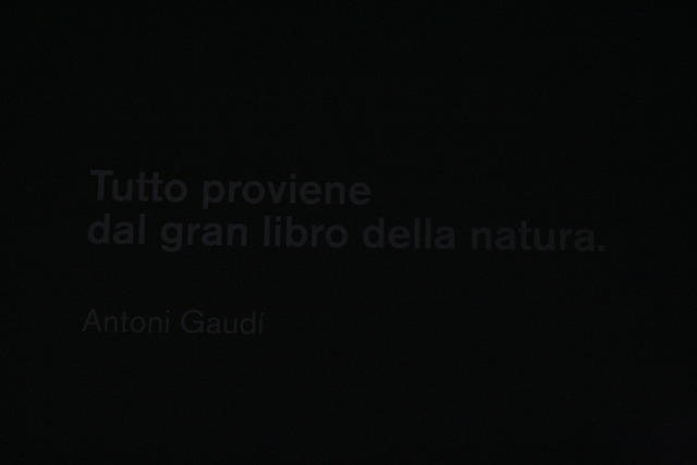 Antoni Gaudí: Tutto proviene dal gran libro della natura.