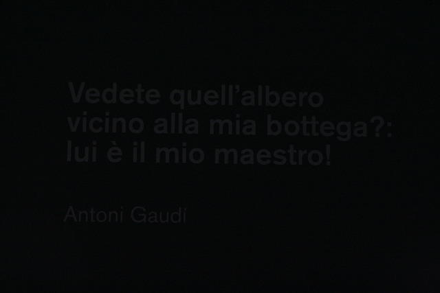 Antoni Gaudí: Vedete quell'albero vicino alla mia bottega?  Lui è il mio maestro.