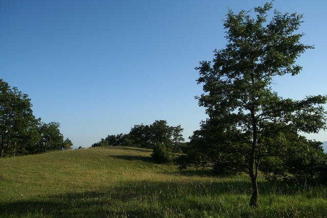 Pian delle Stelle, Monte Alago, Nocera Umbra (estate 1977); il luogo come si presenta nel 2011
