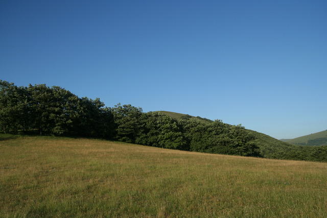 Pian delle Stelle, Monte Alago, Nocera Umbra (estate 1977); il luogo come si presenta nel 2011
