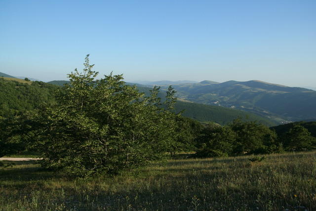 Pian delle Stelle, Monte Alago, Nocera Umbra (estate 1977); il luogo come si presenta nel 2011