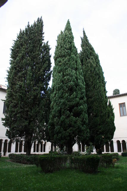 Convento di Santa Sabina, chiostro medioevale