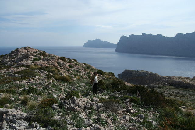Majorca Giovanni 263