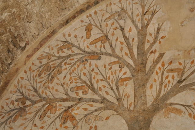 massa marittima albero fecondità 115
