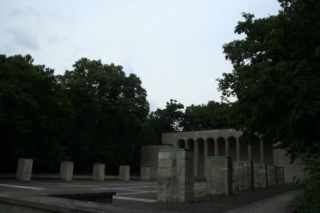 IMG 5335