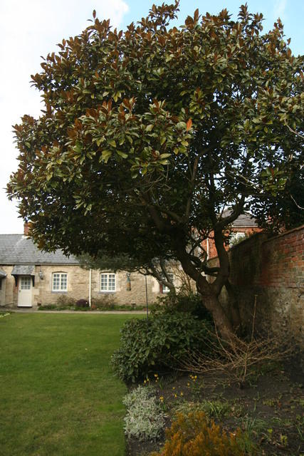 Oxford, Littlemore, la casa dove John Henry Newman si convertì al cattolicesimo