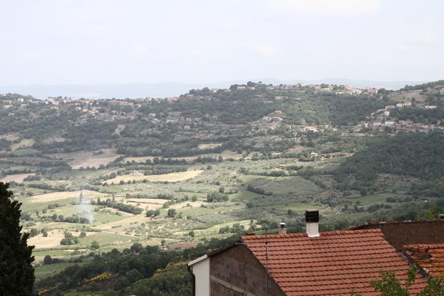 IMG 0014