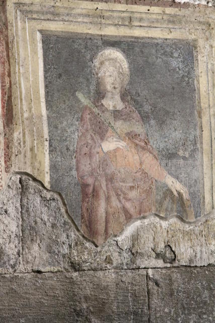 IMG 0050