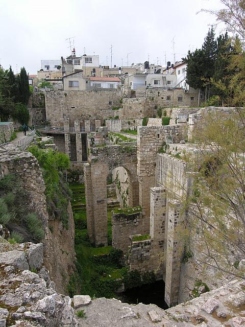 La Piscina Probatica