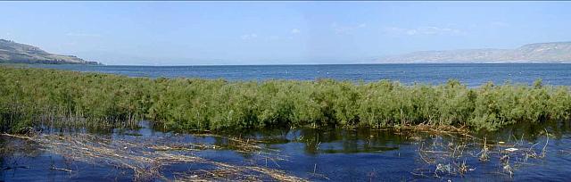 Il lago di Tiberiade