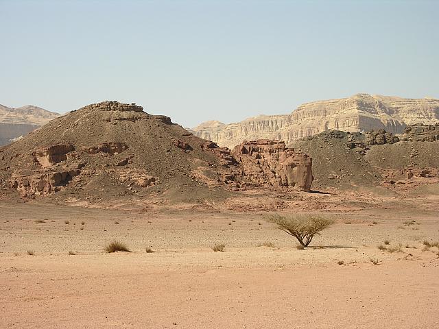 Timna