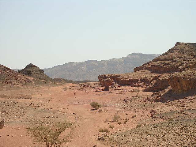 Timna: campo "del fungo"