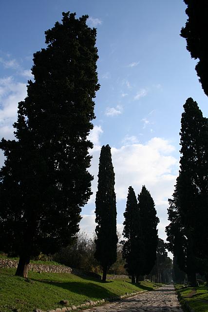 Il pavimento romano lastricato dell'Appia antica