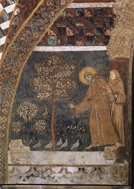 San Francesco predica agli uccelli (Maestro di san Francesco)