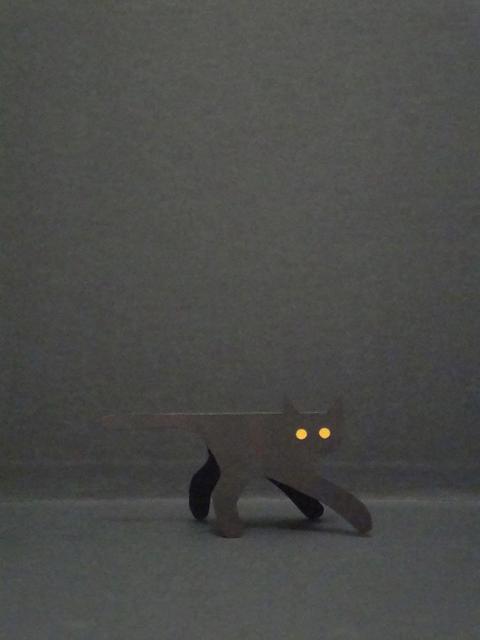 gatto nella notte
