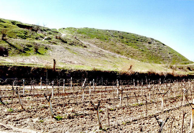 La collina non ancora scavata dell'antica Colossi, oggi Honaz (clicca sulla foto per leggere su Colossesi e Filemone)