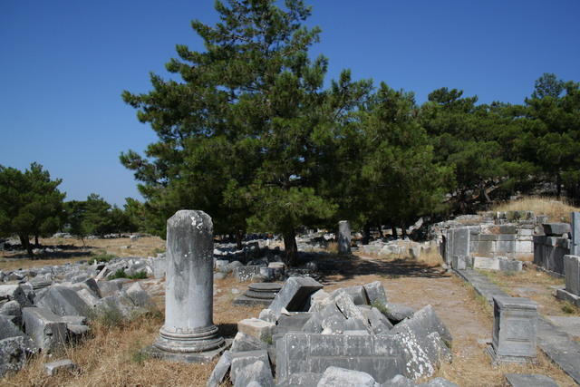 Priene: la Stoà sacra (clicca sull’immagine per leggere dell’iscrizione di Priene su Augusto ed il ‘vangelo’)