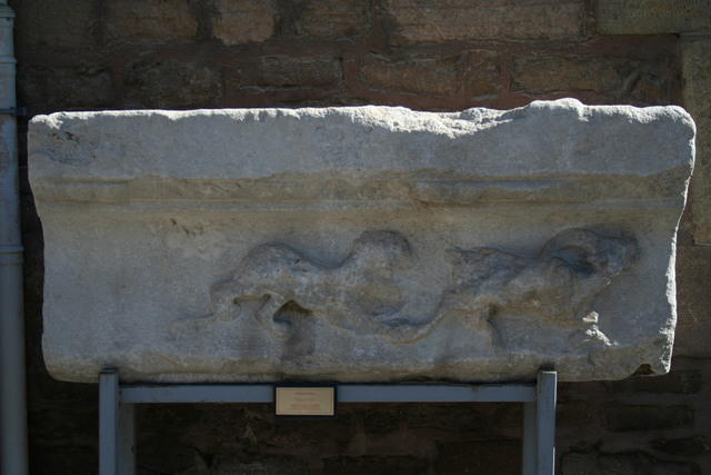Iconio (odierna Konya): Museo della İnce Minare Medresesi (Madrasa dal minareto sottile)