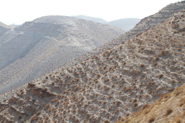 Meditando le tentazioni di Gesù nel deserto di Giuda