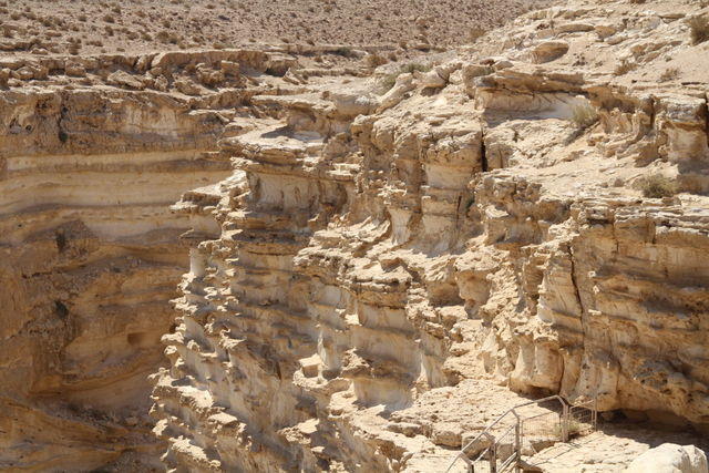 Gli ibex (Sal 18,34: Mi hai dato agilità come di cerve, sulle alture mi fai camminare)