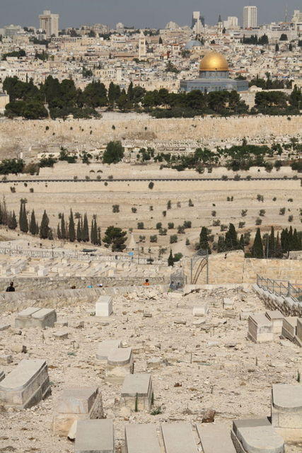 Gerusalemme dal Monte degli Ulivi