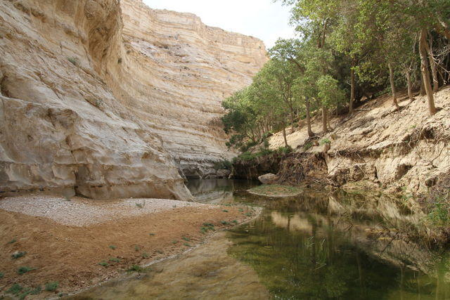 En Avdat