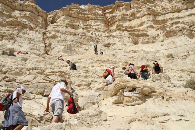 En Avdat, risalendo verso il deserto di Zin