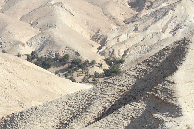 Meditando le tentazioni di Gesù nel deserto di Giuda