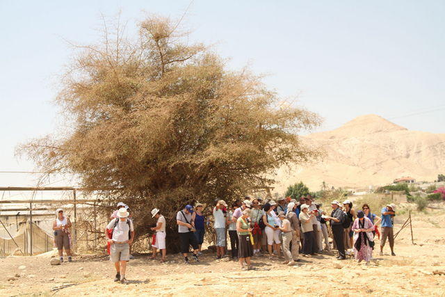 Wadi Qelt (Nahal Perat): il palazzo di Erode lungo la via percorsa da Gesù da Gerico a Gerusalemme