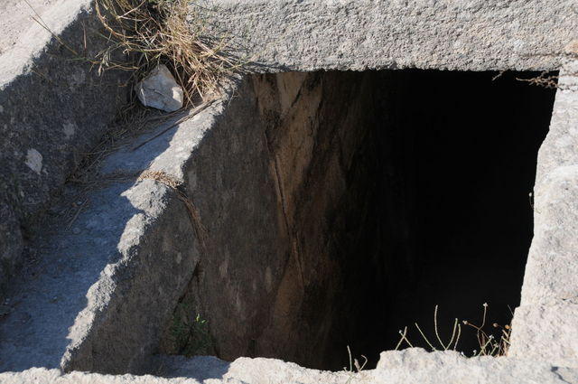 Ugarit