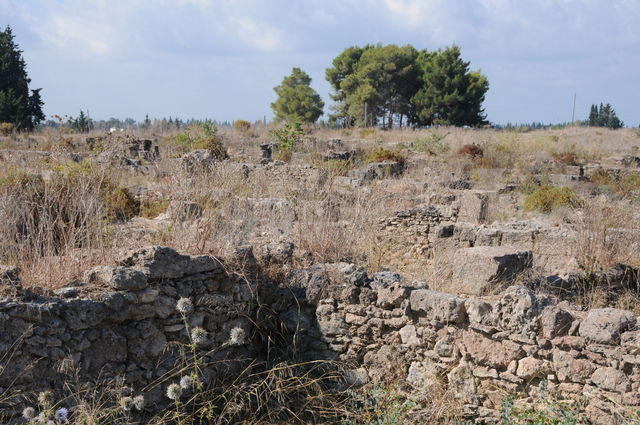 Ugarit