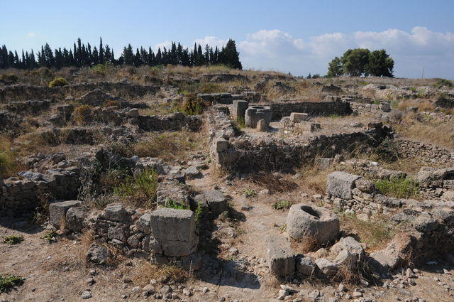 Ugarit