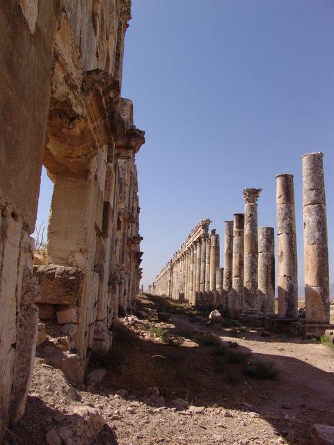 Apamea