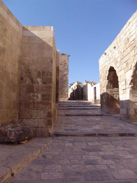 Aleppo