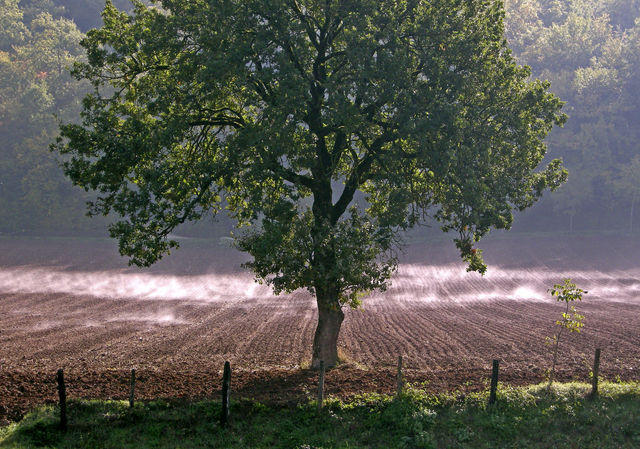 Umbria - Spoleto (PG) - novembre 2007