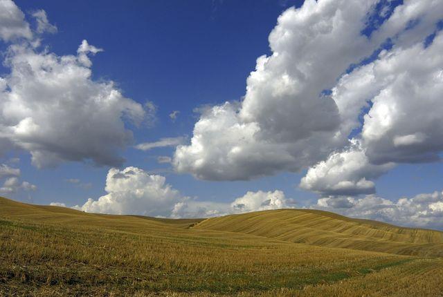 Toscana - Pienza (SI) - agosto 2006