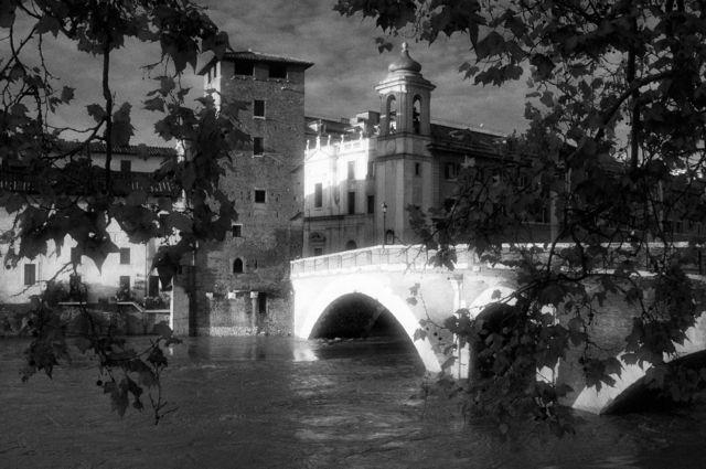 Roma - Fiume Tevere - dicembre 2008