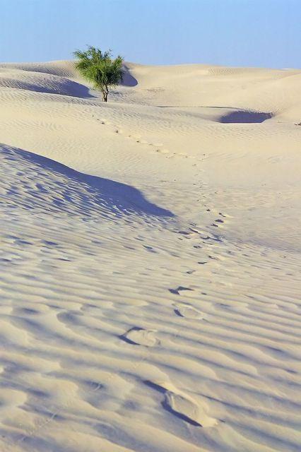 Tunisia - grandi dune - Douze - febbraio 2007