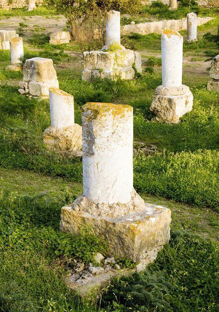 Tunisia - Rovine della Basilica si S. Agostino - Cartagine - febbraio 2007