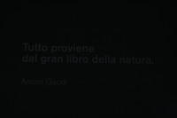 Antoni Gaudí: Tutto proviene dal gran libro della natura.