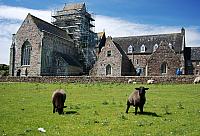 Iona Abbey